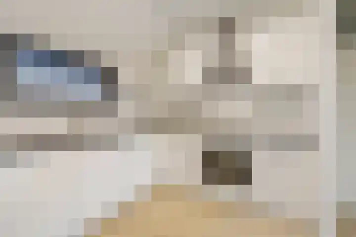 Achterwerf 117 Almere thumbnail 8