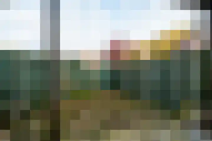 Achterwerf 38 Almere thumbnail 21