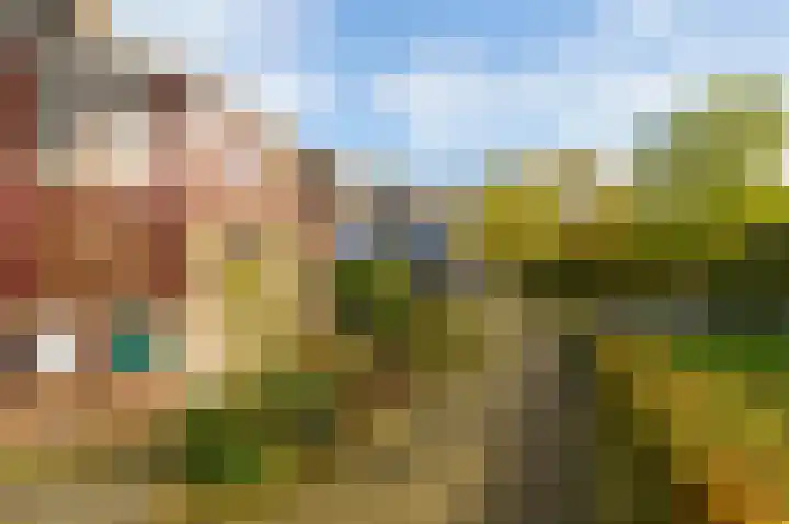 Achterwerf 38 Almere thumbnail 25
