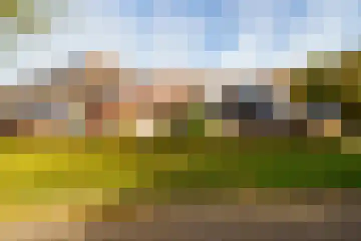 Achterwerf 38 Almere thumbnail 26