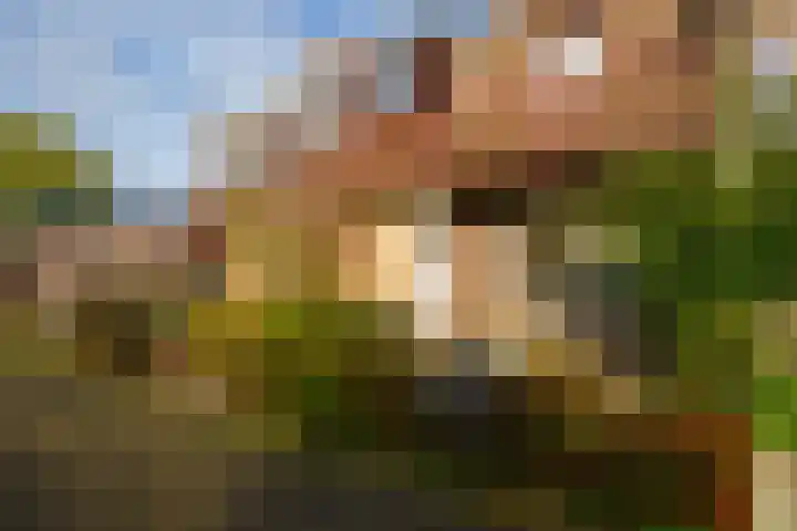 Achterwerf 38 Almere thumbnail 5