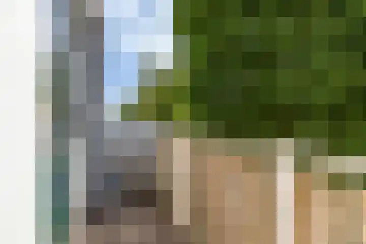 Achterwillenseweg 1 c Gouda thumbnail 23