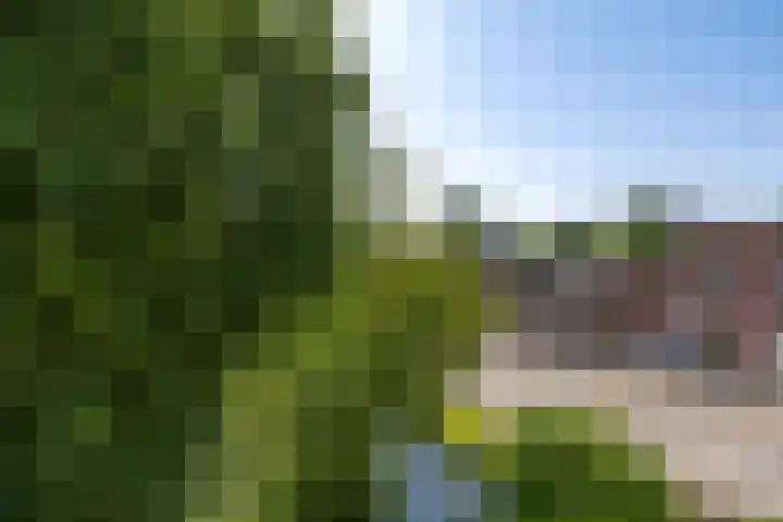 Achterwillenseweg 1 c Gouda thumbnail 25