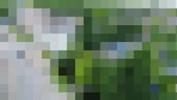 Achterwillenseweg 1 c Gouda thumbnail 40
