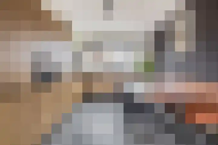 Achterzoom 32 Moerkapelle thumbnail 11