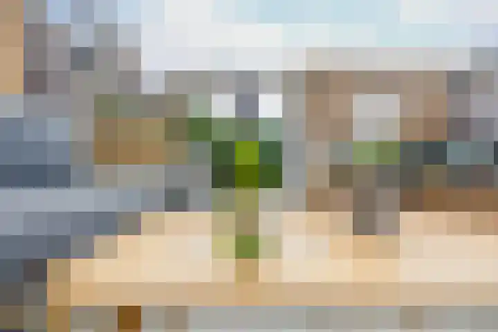 Achterzoom 32 Moerkapelle thumbnail 34