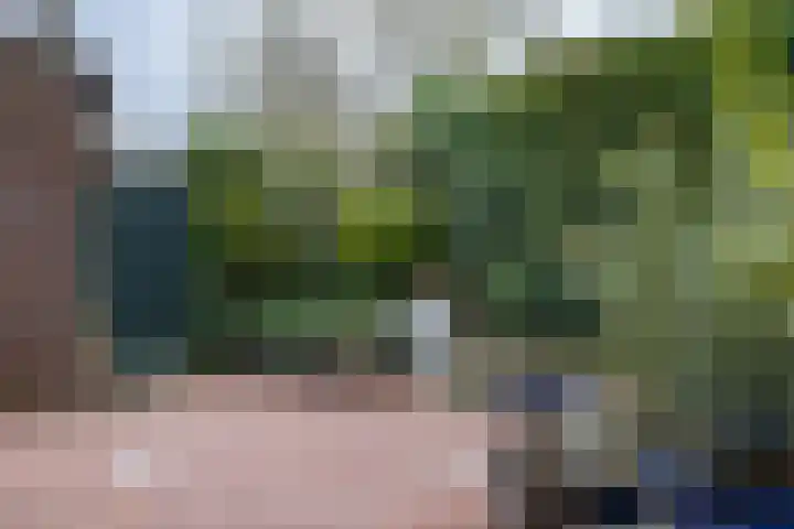 Achthuizenplantsoen 2 Arnhem thumbnail 25
