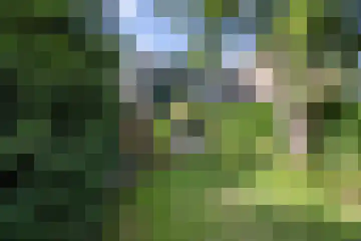 Ackerbroekweg 31 Nijmegen thumbnail 49