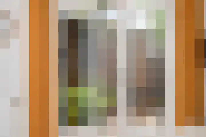 Ackersdijckstraat 2 's-Hertogenbosch thumbnail 16