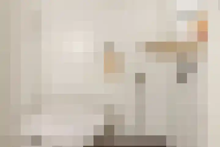 Ackersdijckstraat 2 's-Hertogenbosch thumbnail 17