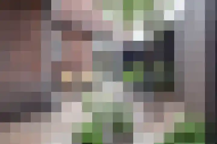 Ackersdijckstraat 2 's-Hertogenbosch thumbnail 23