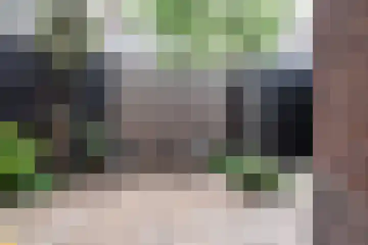 Ackersdijckstraat 2 's-Hertogenbosch thumbnail 24