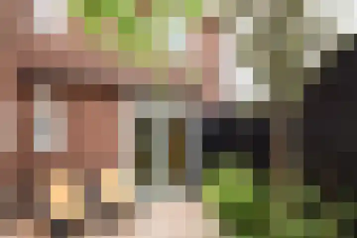 Ackersdijckstraat 2 's-Hertogenbosch thumbnail 25