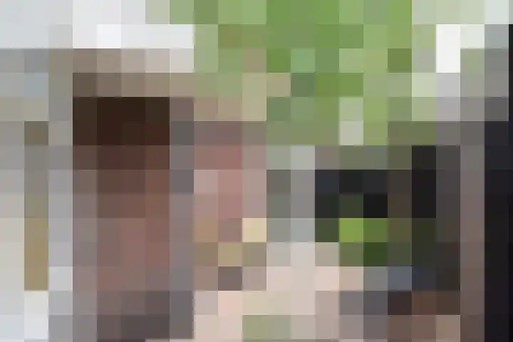 Ackersdijckstraat 2 's-Hertogenbosch thumbnail 26