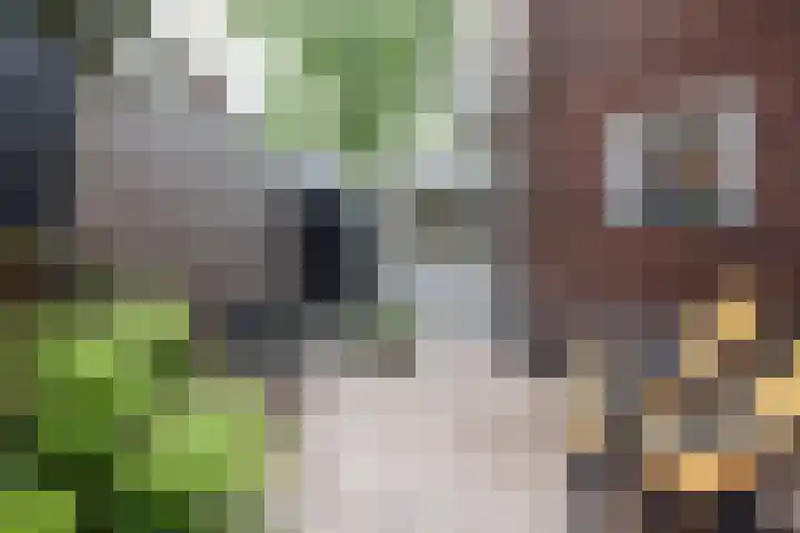 Ackersdijckstraat 2 's-Hertogenbosch thumbnail 27