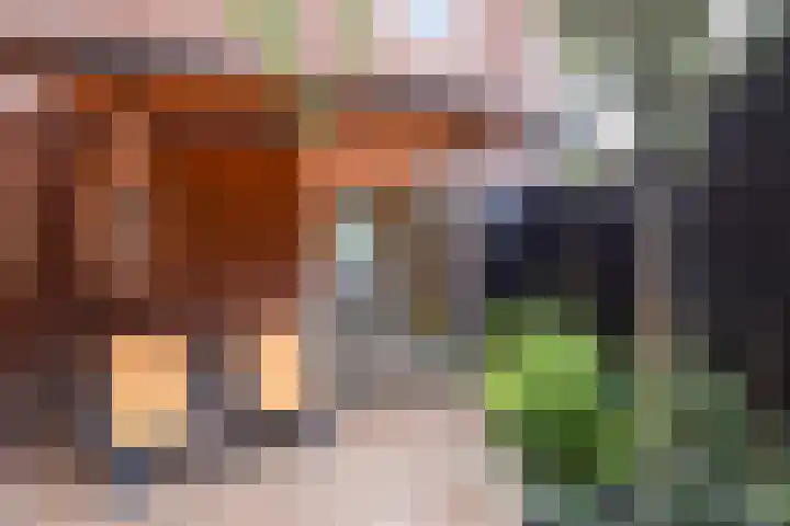 Ackersdijckstraat 2 's-Hertogenbosch thumbnail 29