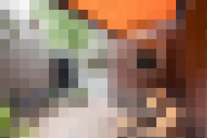 Ackersdijckstraat 2 's-Hertogenbosch thumbnail 30