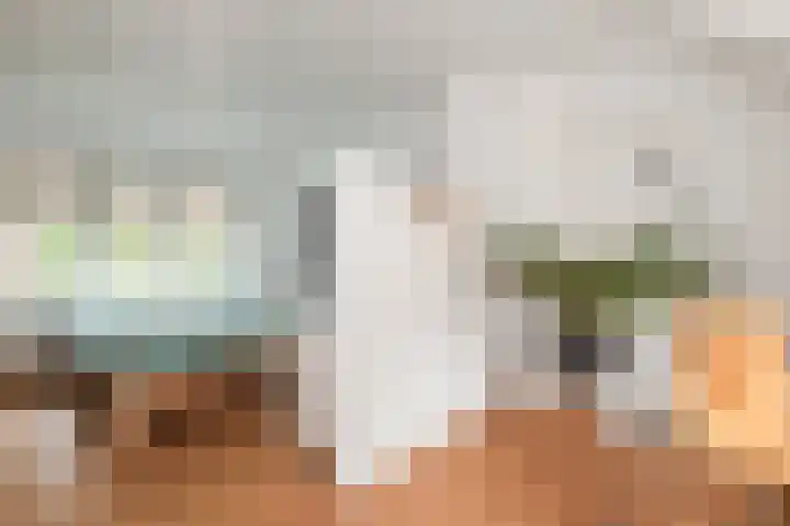 Ackersdijckstraat 2 's-Hertogenbosch thumbnail 39