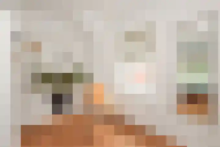 Ackersdijckstraat 2 's-Hertogenbosch thumbnail 40