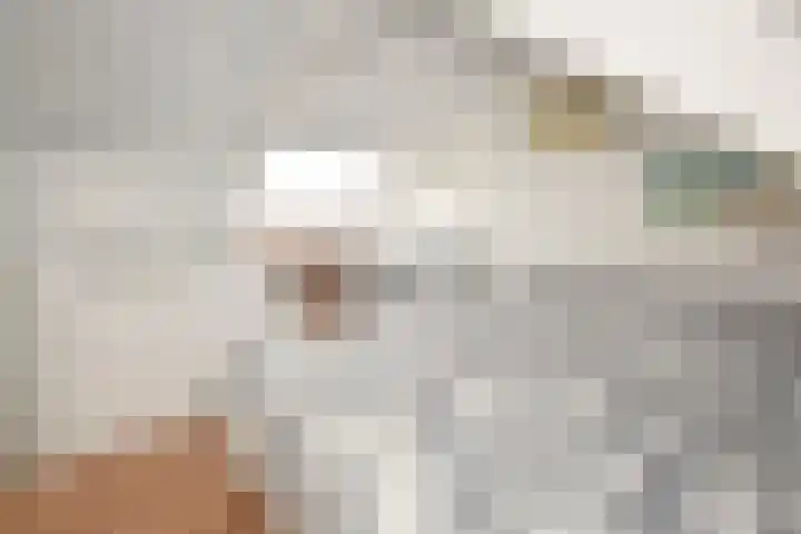 Ackersdijckstraat 2 's-Hertogenbosch thumbnail 46