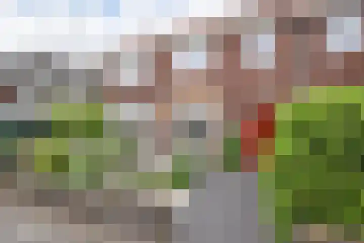 Ackersdijckstraat 2 's-Hertogenbosch thumbnail 55