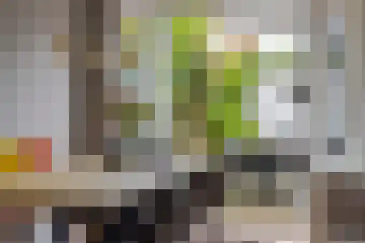 Ackersdijckstraat 37 's-Hertogenbosch thumbnail 11