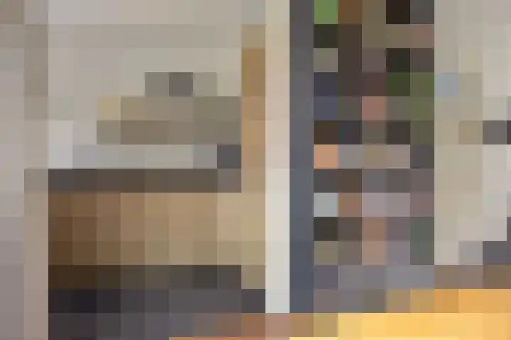Ackersdijckstraat 37 's-Hertogenbosch thumbnail 14