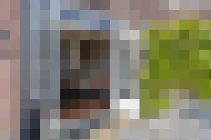 Ackersdijckstraat 37 's-Hertogenbosch thumbnail 20