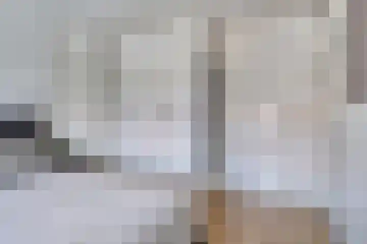 Ackersdijckstraat 37 's-Hertogenbosch thumbnail 22