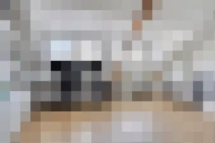 Ackersdijckstraat 37 's-Hertogenbosch thumbnail 30