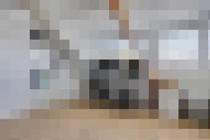 Ackersdijckstraat 37 's-Hertogenbosch thumbnail 31