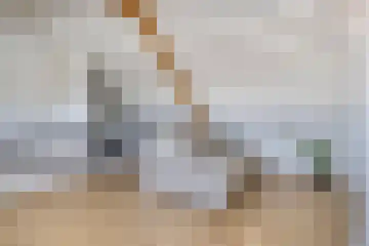 Ackersdijckstraat 37 's-Hertogenbosch thumbnail 32
