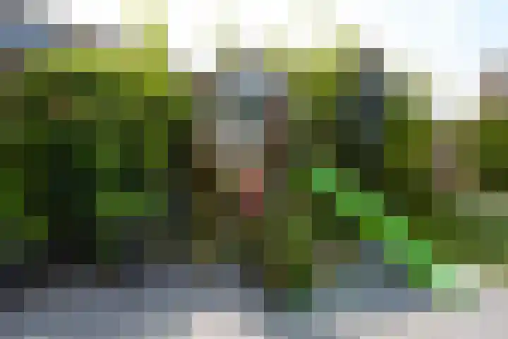 Acropolis 83 Hoofddorp thumbnail 52