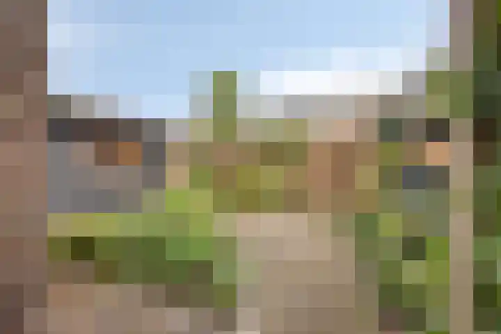 Adam Pijnackerstraat 8 Pijnacker foto 2