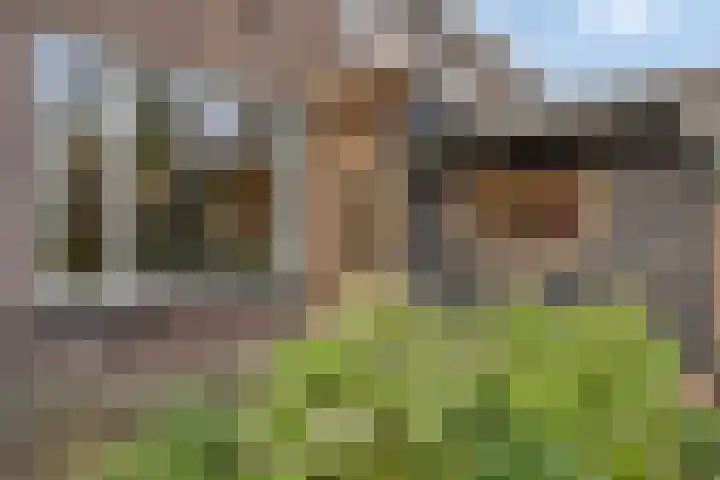 Adam Pijnackerstraat 8 Pijnacker thumbnail 26