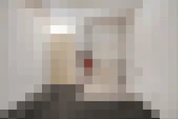 Adam Pijnackerstraat 8 Pijnacker thumbnail 5