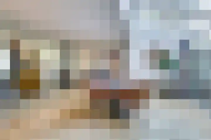 Adama van Scheltemalaan 6 Bladel thumbnail 11