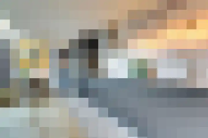 Adama van Scheltemalaan 6 Bladel thumbnail 17