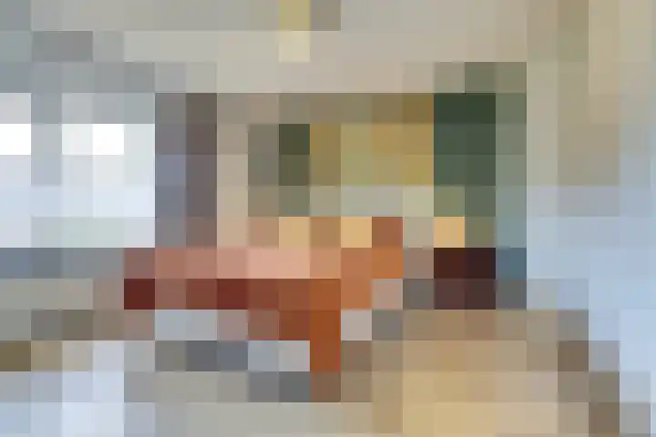 Adama van Scheltemalaan 6 Bladel thumbnail 21