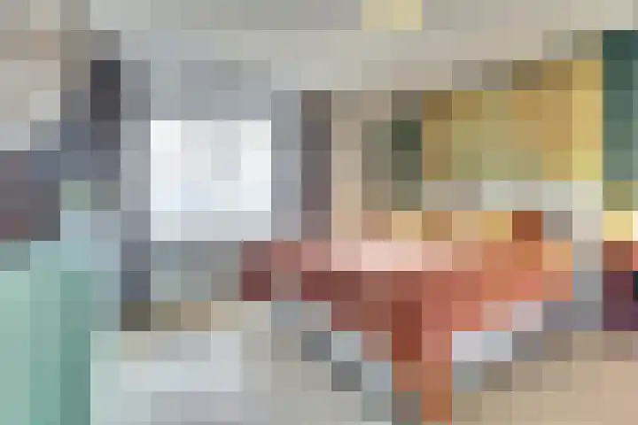 Adama van Scheltemalaan 6 Bladel thumbnail 22