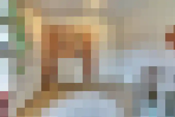 Adama van Scheltemalaan 6 Bladel thumbnail 24