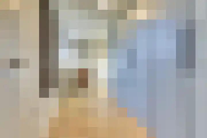 Adama van Scheltemalaan 6 Bladel thumbnail 25