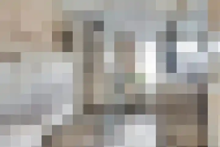 Adama van Scheltemalaan 6 Bladel thumbnail 26