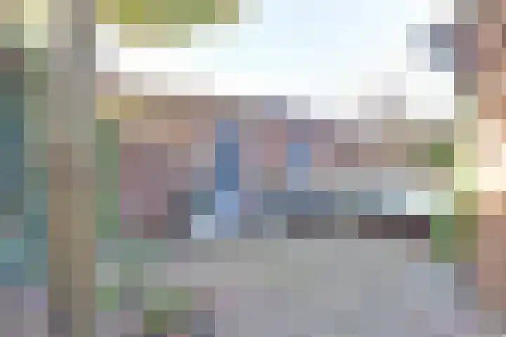 Adama van Scheltemalaan 6 Bladel thumbnail 32