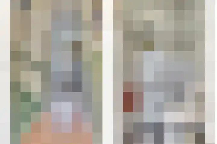 Adama van Scheltemalaan 6 Bladel thumbnail 4