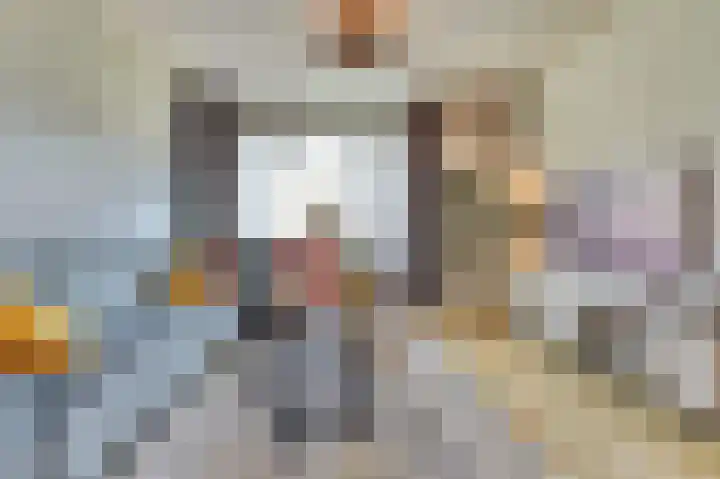 Adama van Scheltemalaan 6 Bladel thumbnail 8