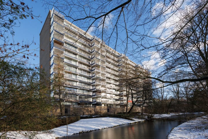 Adama van Scheltemaplein 43 in Delft foto