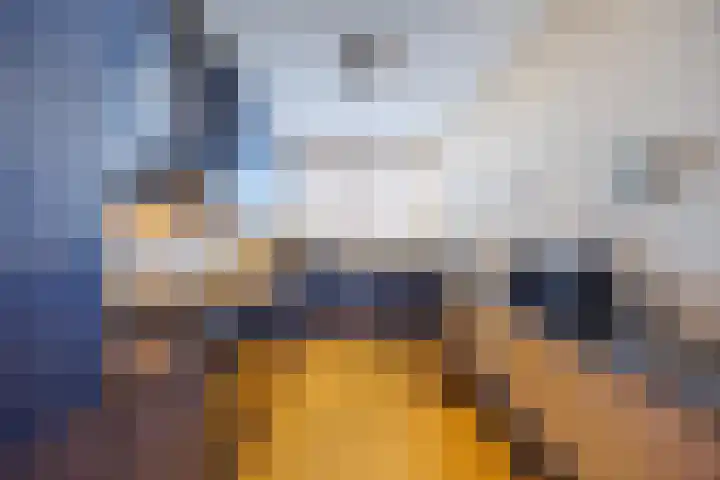 Adama van Scheltemaplein 43 Delft thumbnail 17