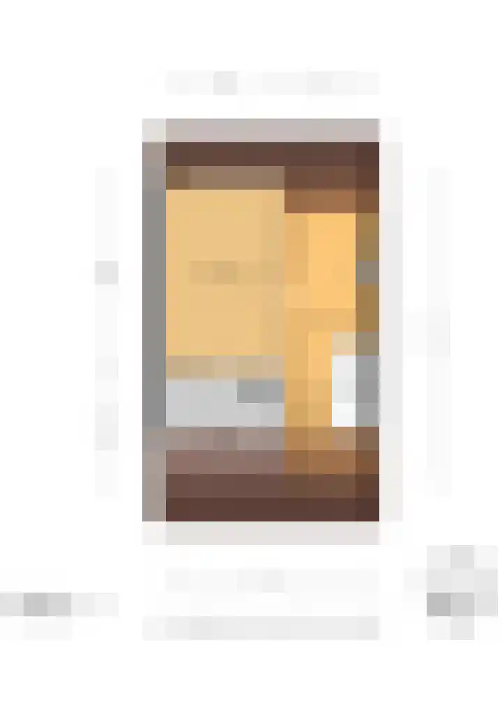 Adama van Scheltemaplein 98 Delft thumbnail 37