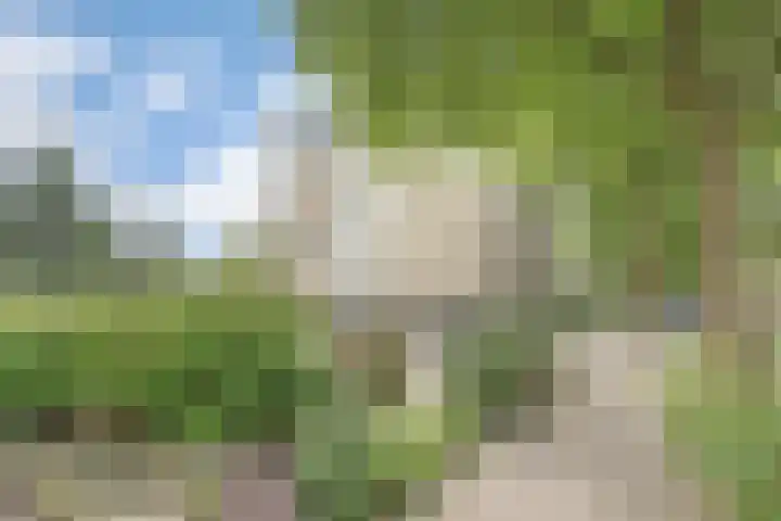 Adamsdreef 227 Ede thumbnail 34